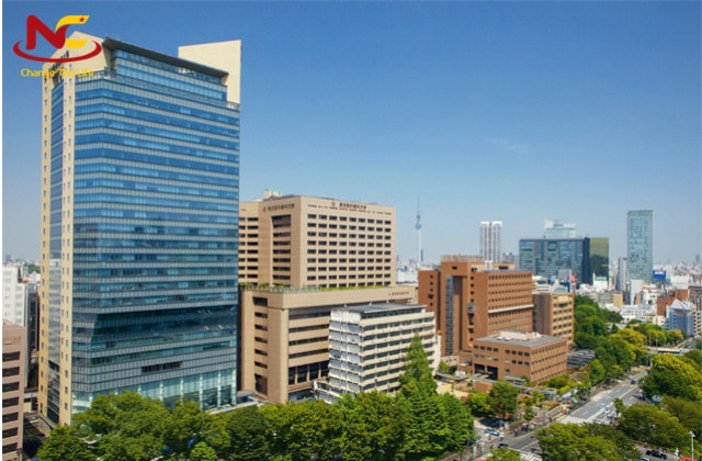 Trường Đại học Y ở Nhật
