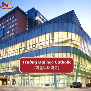 Trường Đại học Catholic Hàn Quốc (Catholic University Korea)