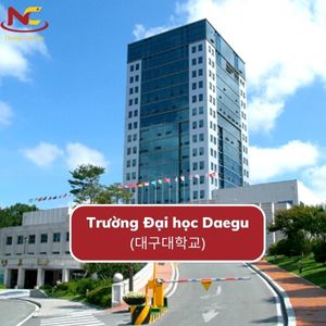 Tìm hiểu trường Đại học Daegu Hàn Quốc (Daegu University)