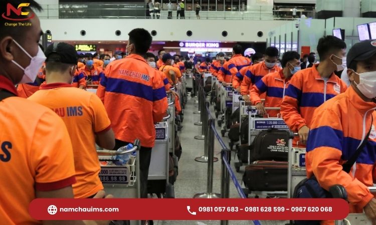 thủ tục đi xuất khẩu nhật bản thủ tục đi xuất khẩu nhật bản