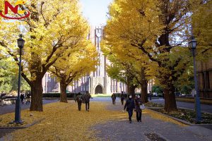 Tìm hiểu Trường Đại học Tokyo Nhật Bản và học phí mới nhất