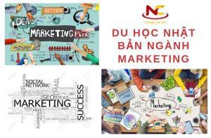 Du học Nhật Bản ngành marketing trường nào? Có lợi thế gì?