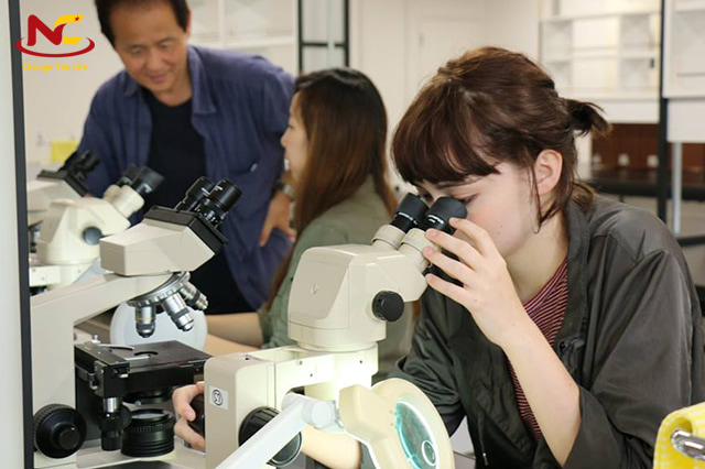 Học sinh học tập và nghiên cứu tại trường Đại học Tsukuba