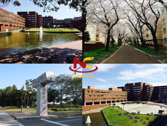 Đại học Tsukuba Khuôn viên trường đại học Tsukuba