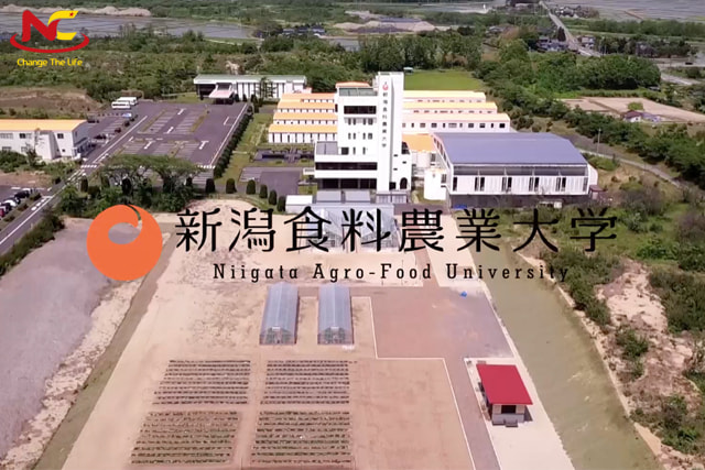 Đại học Nông nghiệp và Thực phẩm Niigata Đại học Nông nghiệp và Thực phẩm Niigata