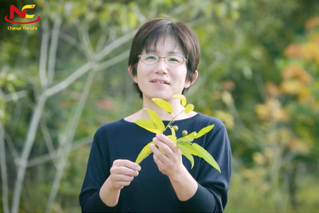 Du học ngành nông nghiệp tại đại học Kyoto Du học ngành nông nghiệp tại đại học Kyoto
