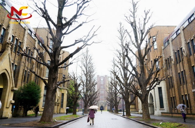 Du học Nhật Bản ngành kế toán tại Tokyo