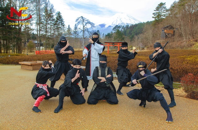Công viên ninja Công viên ninja