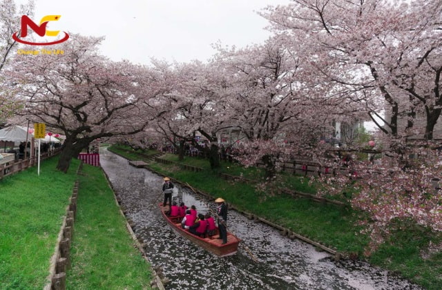Du lịch sông Kawagoe Du lịch sông Kawagoe