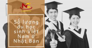 Thực trạng và số lượng du học sinh Việt Nam tại Nhật Bản (Mới)