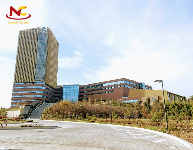 Đại học Teikyo ở Nhật Bản Đại học Teikyo ở Nhật Bản
