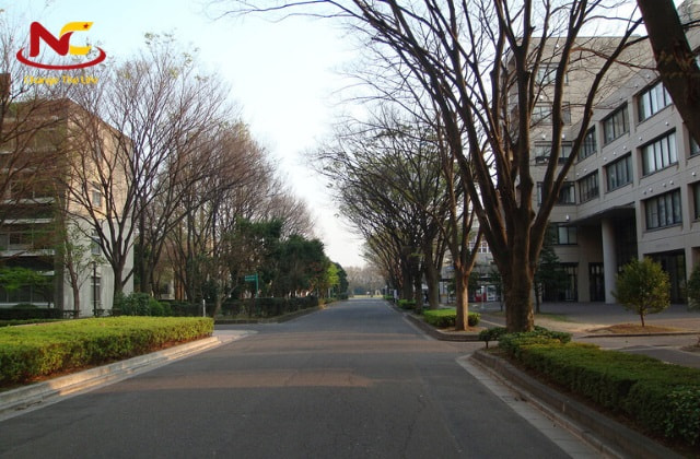 Học tâm lý nên chọn trường nào Học tâm lý nên chọn trường nào