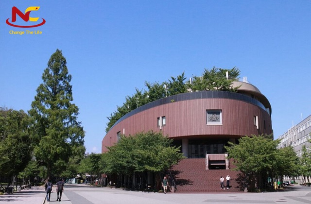 Học ngành tâm lý tại đại học kansai Học ngành tâm lý tại đại học kansai