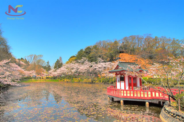 Tìm hiểu về tỉnh Chiba Nhật Bản Tìm hiểu về tỉnh Chiba Nhật Bản