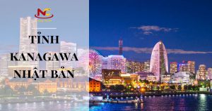 Khám phá tỉnh Kanagawa Nhật Bản ở đâu và có gì đẹp?
