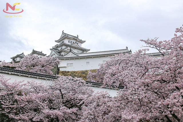 Khí hậu tỉnh okayama