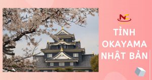 Tìm hiểu tỉnh Okayama Nhật Bản ở đâu và có gì thú vị?
