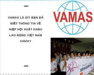 Hiệp hội xuất khẩu lao động Việt Nam Vamas có vai trò như thế nào?