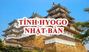 Tỉnh Hyogo Nhật Bản số mấy? Có gì đặc biệt? (Tìm hiểu đầy đủ)