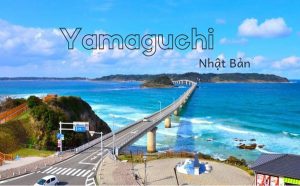 Tỉnh Yamaguchi Nhật Bản ở đâu và có gì nổi tiếng? (Review mới)