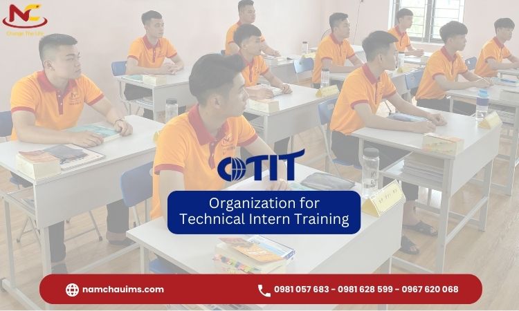 otit ở nhật otit hỗ trợ thực tập sinh