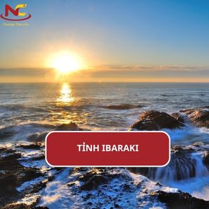 Khám phá tỉnh Ibaraki Nhật Bản số mấy và có gì nổi tiếng?