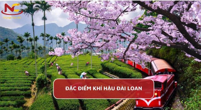 khí hậu ở đài loan