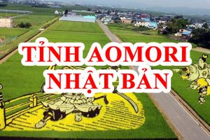 Tỉnh Aomori Nhật Bản ở đâu và có gì? Khám phá chi tiết (Full)