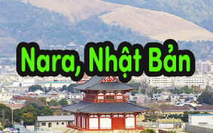 Tìm hiểu tỉnh Nara Nhật Bản ở đâu và có gì? (Đầy đủ nhất)