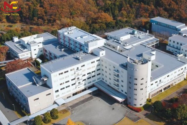 Heisei International University