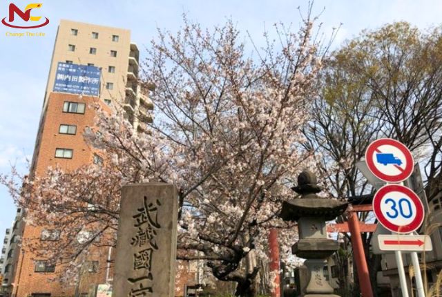 trường nhật ngữ Yono Gakuin