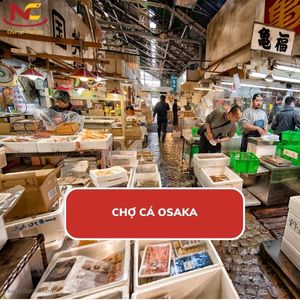 Chợ cá Osaka Nhật Bản – thiên đường hải sản tươi ngon