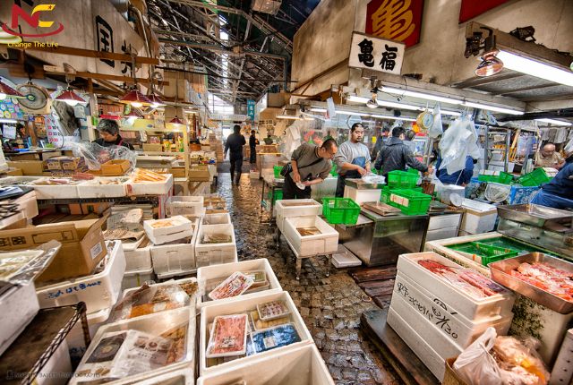 chợ cá osaka chợ cá osaka