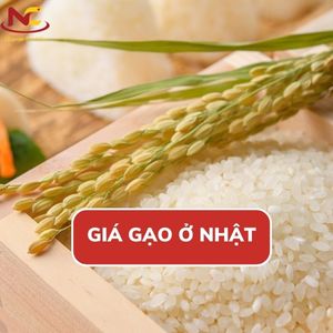 Cập nhật giá gạo ở Nhật Bản và các địa điểm bán gạo ngon giá rẻ