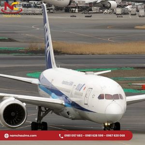 Kinh nghiệm đi sân bay Haneda Nhật Bản và cách di chuyển