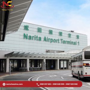 Sân bay Narita ở đâu Nhật Bản và kinh nghiệm khi di chuyển