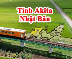 Khám phá tỉnh Akita Nhật Bản ở đâu và có gì đặc biệt?