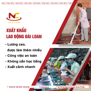 Xuất khẩu lao động Đài Loan 2024: Phí Chuẩn – Bay Nhanh