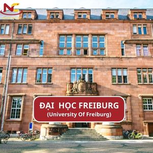 Tìm hiểu Trường Đại học Freiburg Đức (University of Freiburg)
