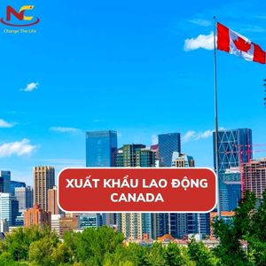 Đi XKLĐ Canada 2023 có gì mới và những điều cần biết?