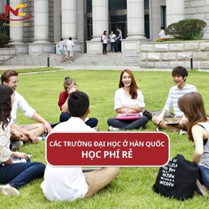 Các trường đại học Hàn Quốc học phí rẻ 2024 (Mới cập nhật)