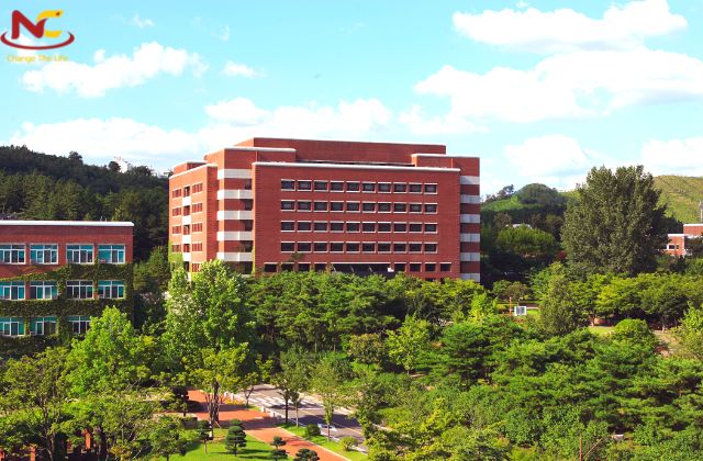 đại học hàn quốc học phí rẻ đại học hàn quốc học phí rẻ