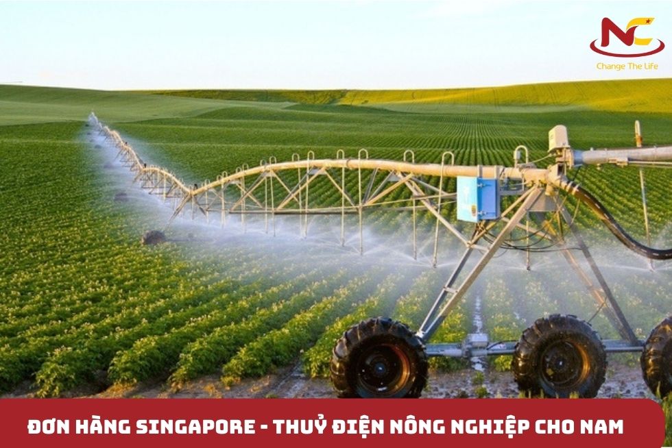 Đơn hàng Singapore thuỷ điện nông nghiệp