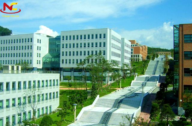 trường đại học hàn quốc học phí rẻ trường đại học hàn quốc học phí rẻ