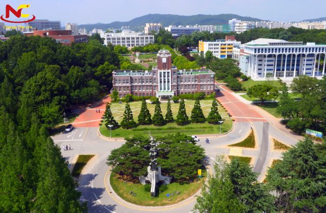 các trường đại học có học phí rẻ ở seoul