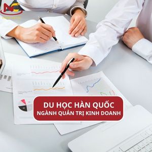 Review Du học ngành Quản trị Kinh doanh ở Hàn Quốc 2023 chi tiết nhất