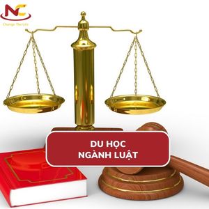 Nên du học Luật ở đâu? Cách săn học bổng du học ngành Luật