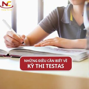 Testas là gì? Những điều cần biết về kỳ thi Testas 2024
