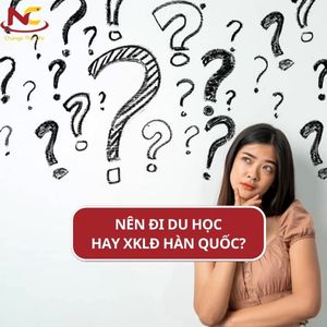 Nên đi du học hay xuất khẩu Hàn Quốc 2024? Phân tích chi tiết