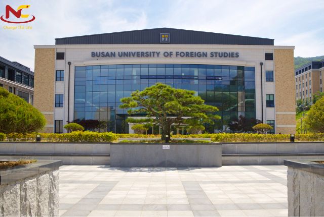 ngoại ngữ busan ngoại ngữ busan